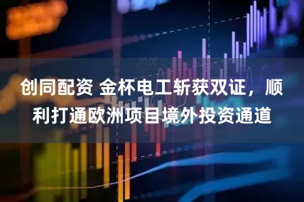 创同配资 金杯电工斩获双证，顺利打通欧洲项目境外投资通道